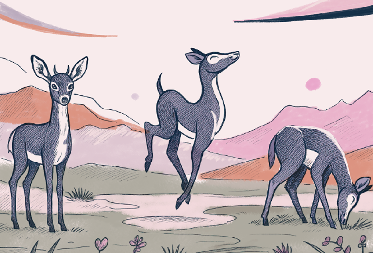 Banner Image